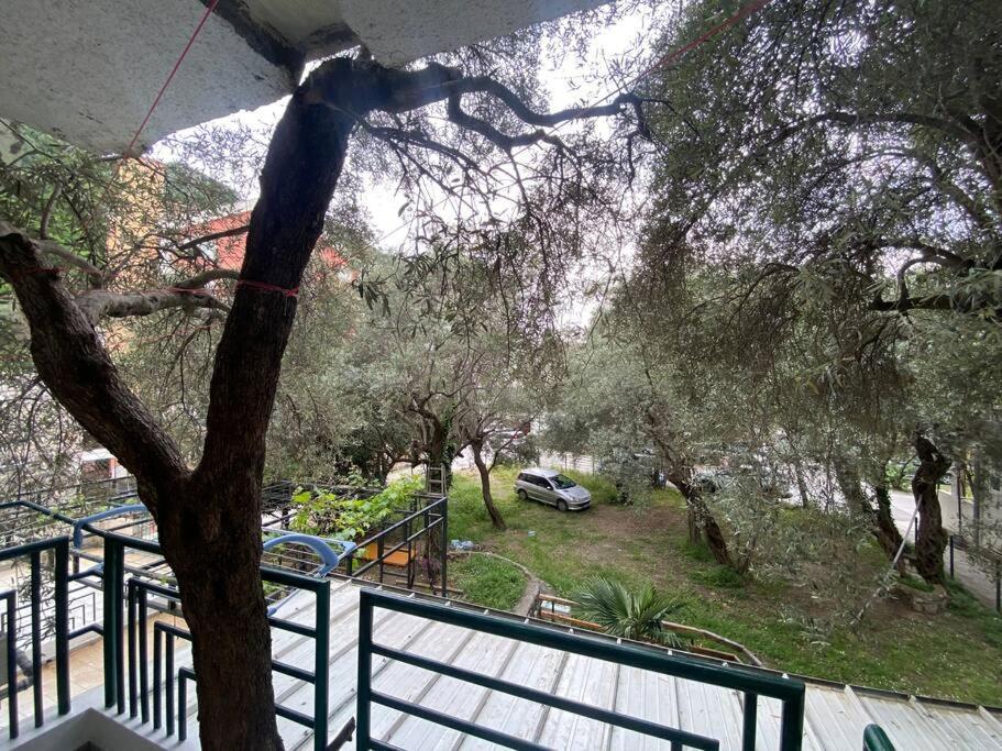 One-bedroom Olive, Rafailovici *