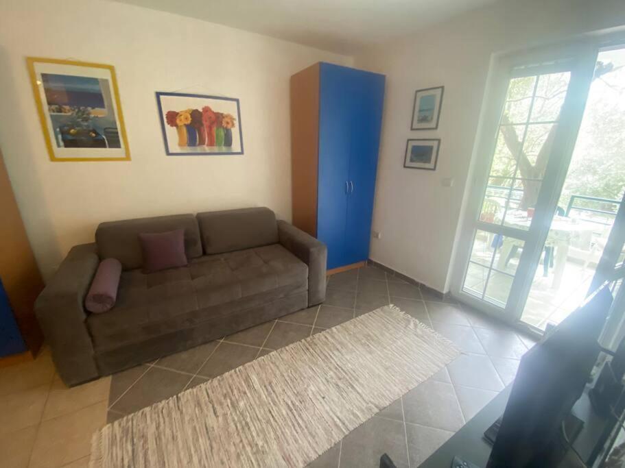 One-bedroom Olive, Rafailovici