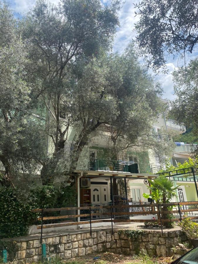 One-bedroom Olive, Rafailovici